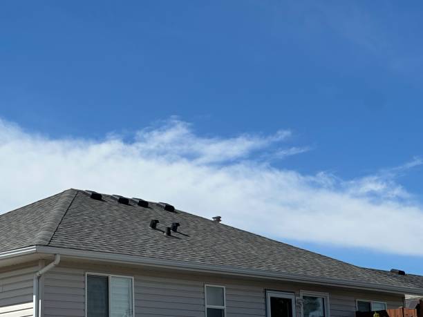 Best Asphalt Shingle Roofing  in Pipestone, MN